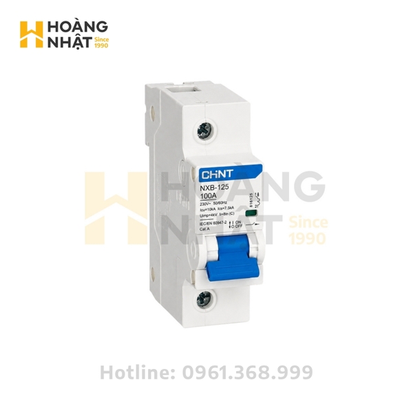 Aptomat CHINT MCB NXB-125 1P 100A