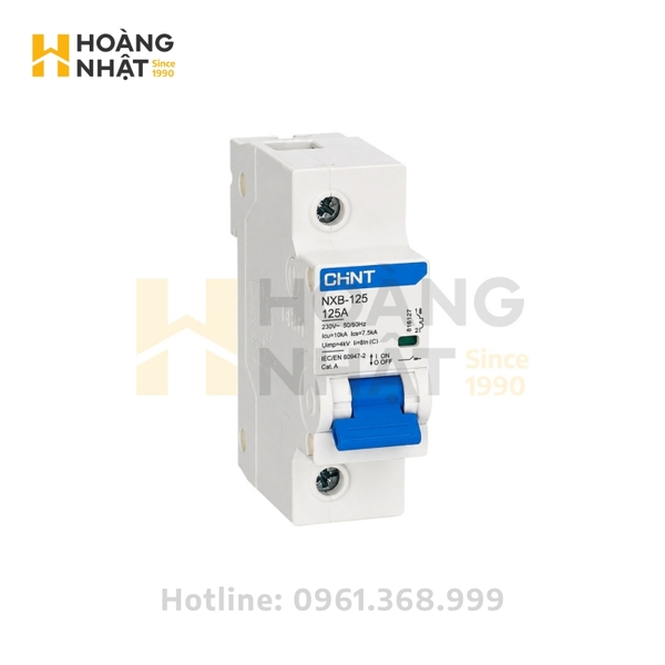 Aptomat CHINT MCB NXB-125 1P 125A