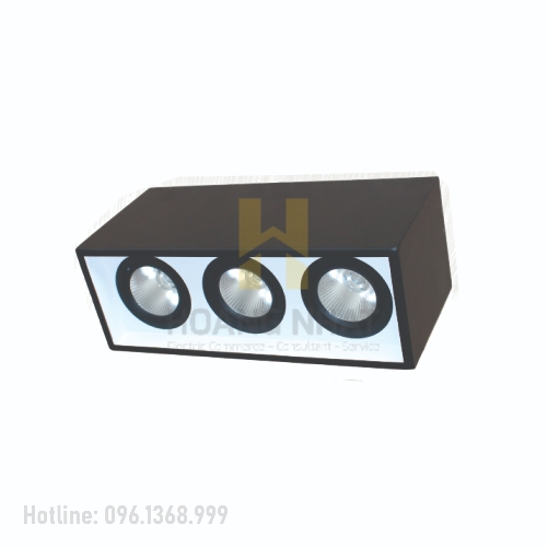 Đèn LED downlight  gắn nối chiếu sâu 3x30W DFB3301 Duhal