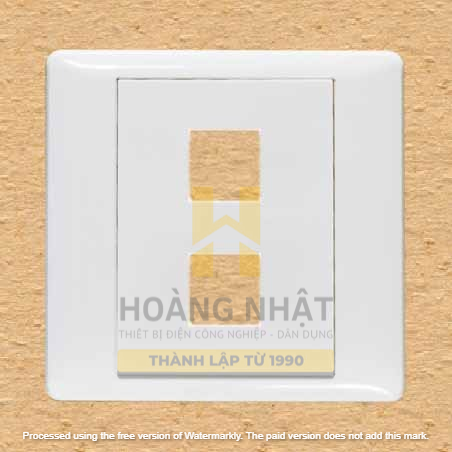 Mặt 2 lỗ S9862/X Sino