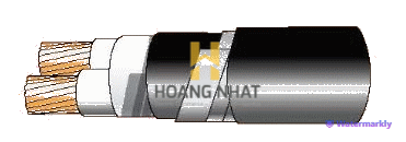 Cáp chống bén cháy theo IEC 60332-3-24, 0.6/1(1.2)kV, ruột đồng, 2 lõi, cách điện XLPE, giáp sợi thép mạ kẽm (hoặc giáp 2 lớp băng thép)