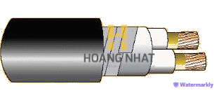 Cáp chống cháy theo BS 6387, 0.6/1(1.2)kV, ruột đồng, 2 lõi, cách điện XLPE, không giáp