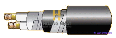 Cáp chống cháy theo BS 6387, 0.6/1(1.2)kV, ruột đồng, 2 lõi, cách điện XLPE, giáp sợi thép mạ kẽm (hoặc giáp hai lớp băng thép)