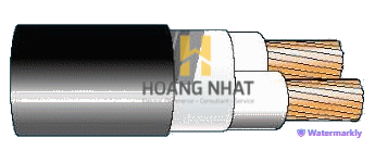 Cáp chống bén cháy theo IEC 60332-1, 0.6/1(1.2)kV, ruột đồng, 2 lõi, cách điện XLPE, không giáp