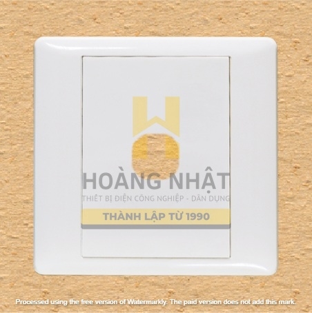 Mặt 1 lỗ S981/X Sino