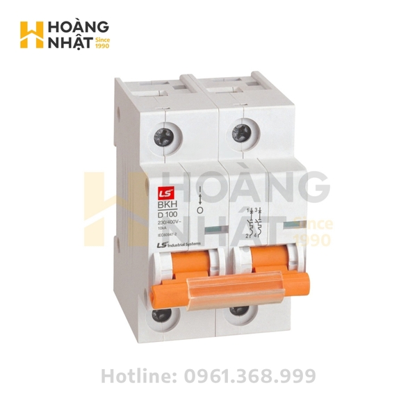 Aptomat MCB LS BKH 2P 100A 10kA