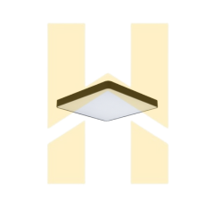 Đèn LED gắn nổi hoặc treo trần PPBA48L6060