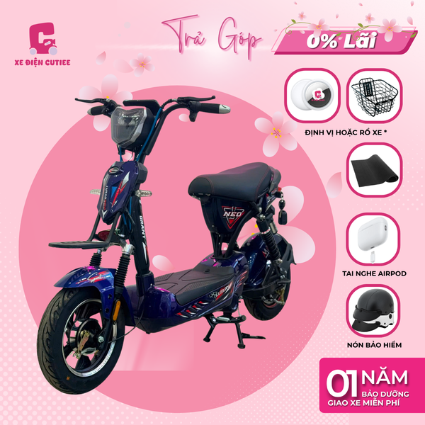 Xe đạp điện M19