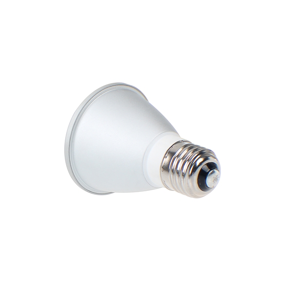 PAR LAMP