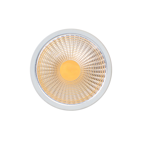 PAR LAMP