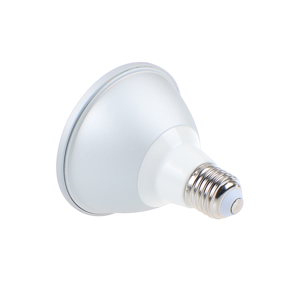 PAR LAMP