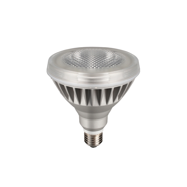 PAR LAMP