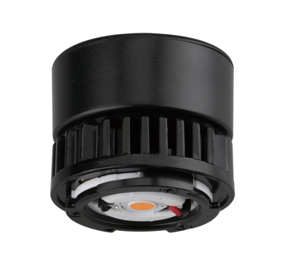 LED Module Internal Driver Pro Special Color