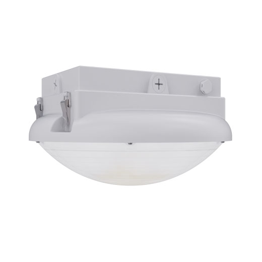 Canopy 21-70W