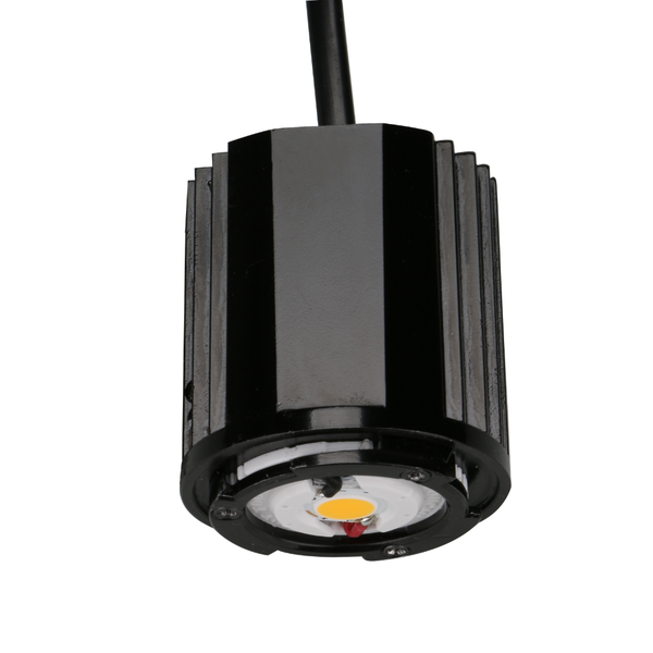 LED Module Internal Driver Pro Special Color