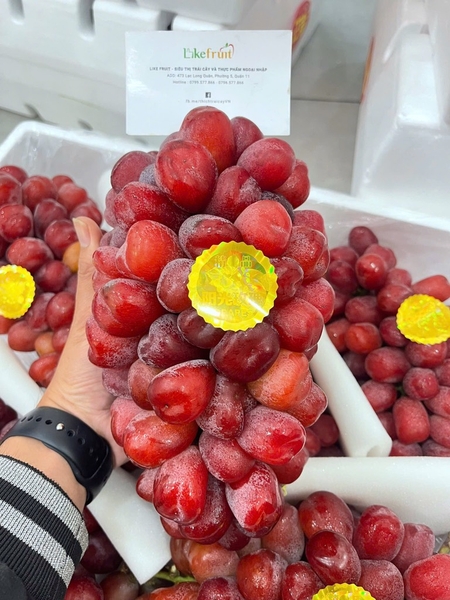 Nho Đỏ Ruby Roman – Biểu Tượng Cao Cấp, Ngọt Dịu – Thanh Lịch
