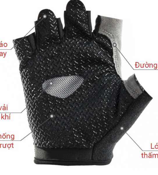 Bao tay tập Gym ( tặng )