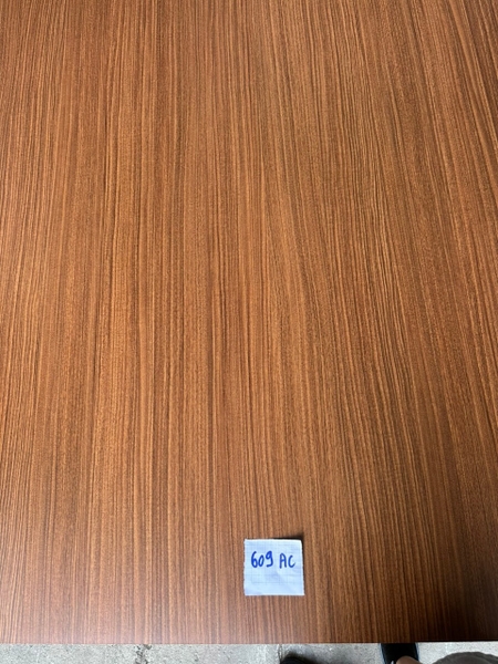tg-609