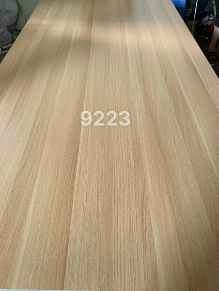 tg-9223