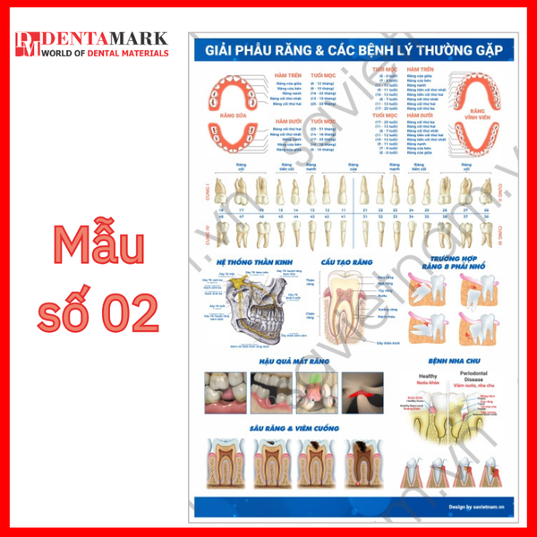 Tranh nha khoa - Tranh tư vấn dịch vụ nha khoa 2