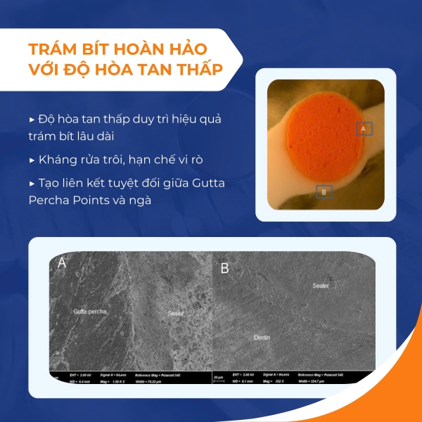 Chất hàn ống tủy Bioceramic Dia Root Bio Sealer DiaDent Hàn Quốc