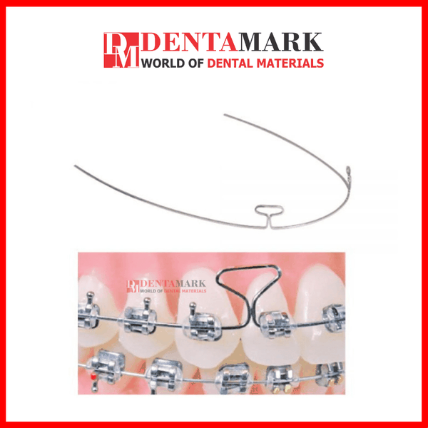 Dây cung Tloop - Ortho Technology dentamark.vn
