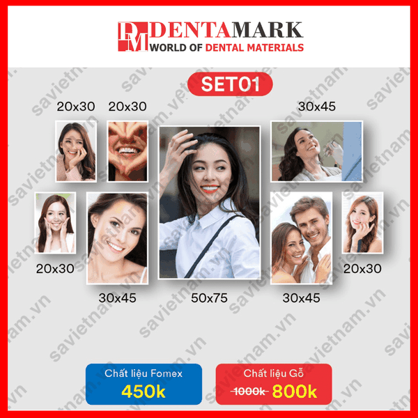 Set tranh nha khoa NỤ CƯỜI ĐẸP 1