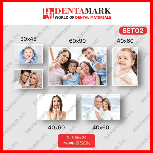 Set tranh nha khoa NỤ CƯỜI ĐẸP 2