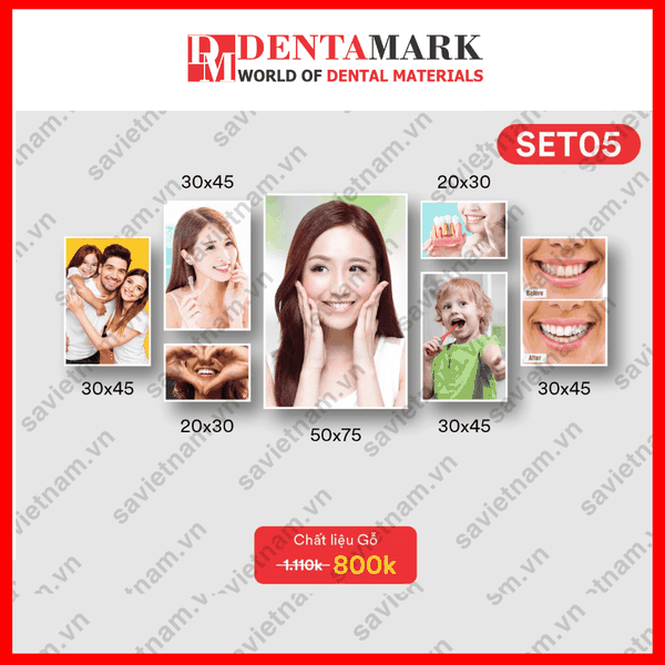 Set tranh nha khoa NỤ CƯỜI ĐẸP 3