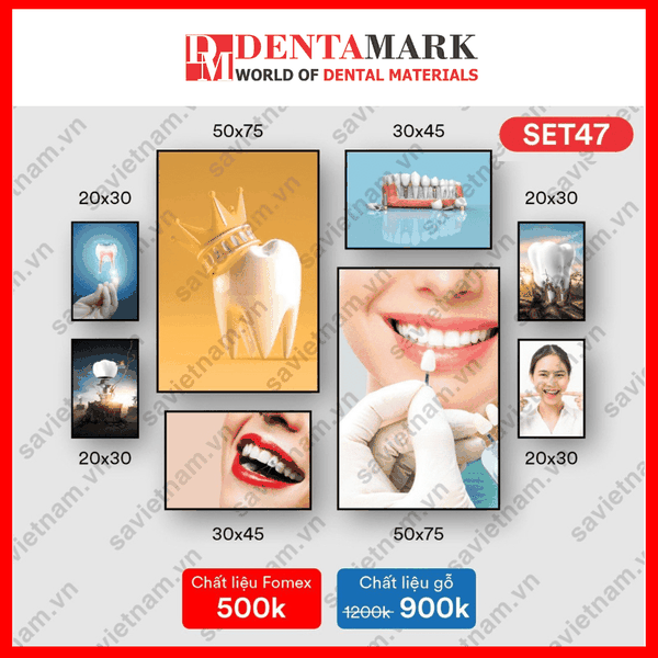Set tranh nha khoa NỤ CƯỜI ĐẸP 4