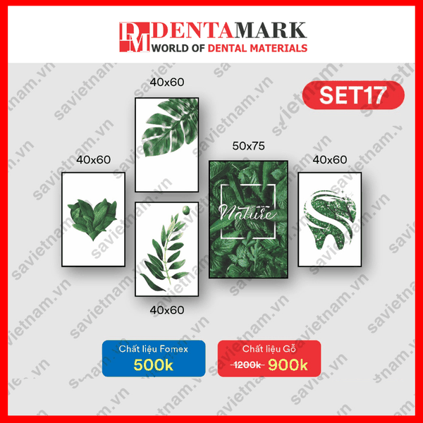 Set tranh nha khoa nghệ thuật dán tường đẹp 4