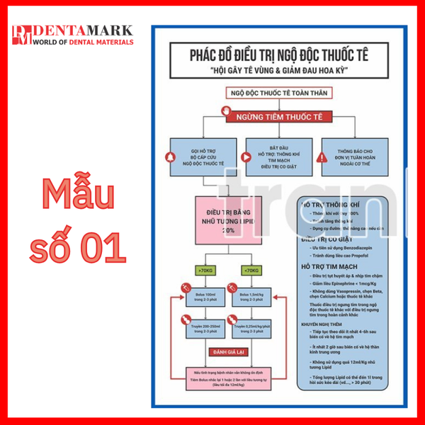 Tranh nha khoa xử trí phản vệ và ngộ độc thuốc tê 1