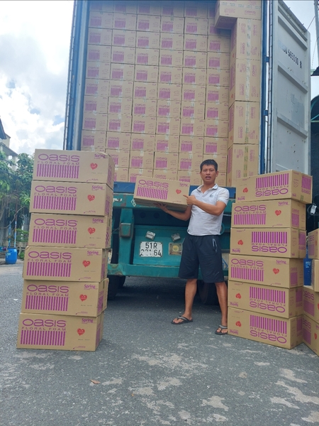 Xốp tím Hasfam