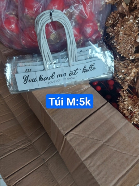 túi M