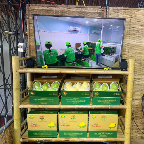 Đồng Tháp xuất khẩu 3 tấn xoài cát chu đầu tiên trong năm 2022 sang thị trường châu Âu