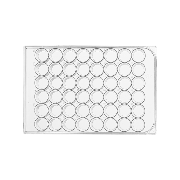 48 well cell culture plate 48 well cell culture plate