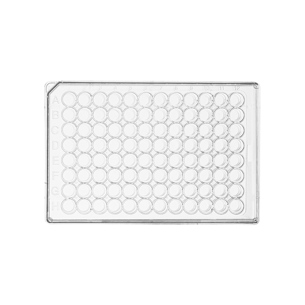 96well cell culture plate, polyDlysine coated surface