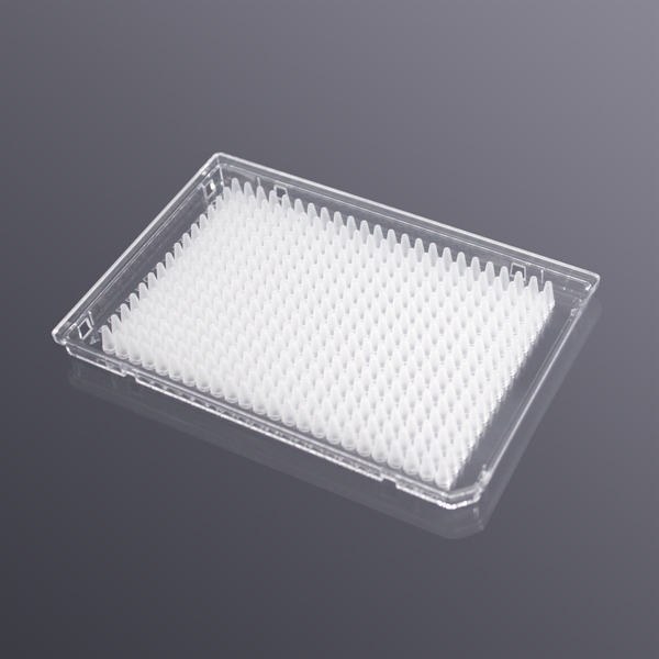 384-well 40ul skirted PCR plate, A24 cut corner, transparent frame ...
