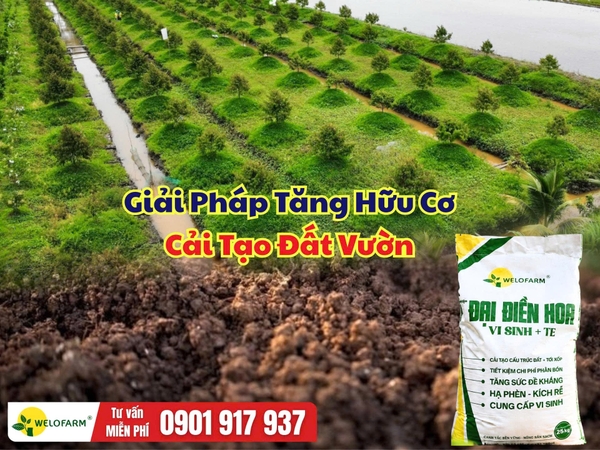 🌱 Giải Pháp Tăng Hữu Cơ – Cải Tạo Đất Vườn