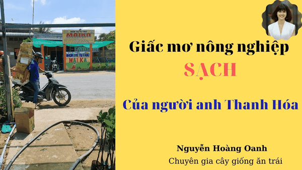 GIẤC MƠ NÔNG NGHIỆP SẠCH CỦA NGƯỜI ANH THANH HÓA