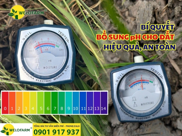 ⚡ BÍ QUYẾT BỔ SUNG pH CHO ĐẤT HIỆU QUẢ, AN TOÀN