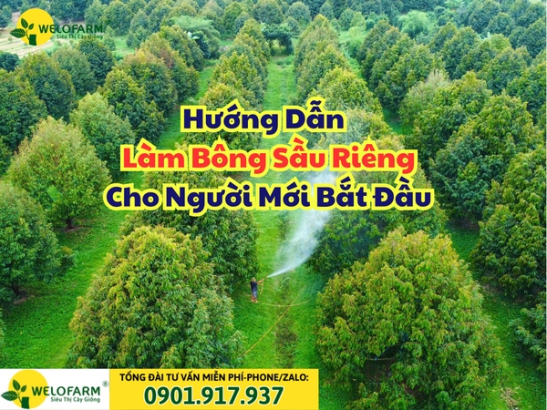 Hướng Dẫn Cách Làm Bông Sầu Riêng Cho Người Mới Bắt Đầu
