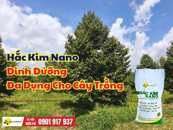 Hắc Kim Nano – Dinh Dưỡng Đa Dụng Cho Cây Trồng, Dùng Được Nhiều Giai Đoạn