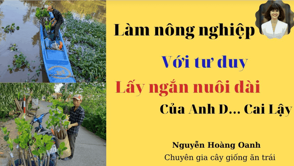 Làm nông nghiệp với tư duy lấy ngắn nuôi dài của anh D…Cai Lậy