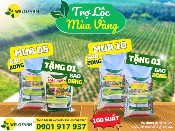 🎉 CHƯƠNG TRÌNH TRI ÂN KHÁCH HÀNG THÁNG 5 🎉