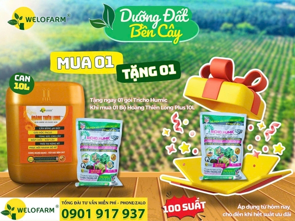 🎉 WELOFARM - CHƯƠNG TRÌNH TRI ÂN KHÁCH HÀNG THÁNG 06/2025 🎉