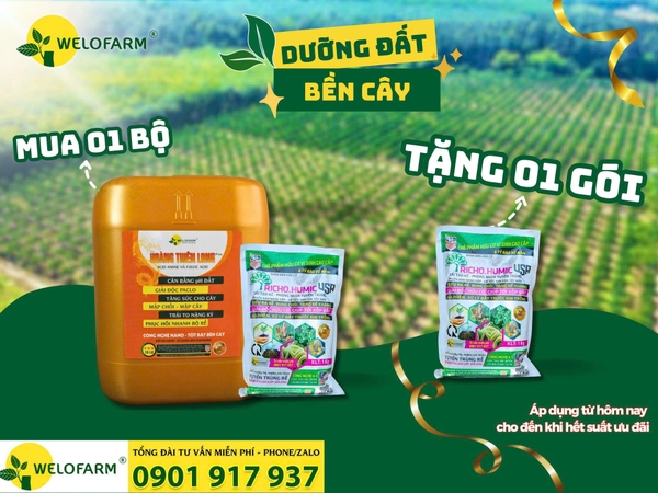 🌿 CHƯƠNG TRÌNH TRI ÂN KHÁCH HÀNG THÁNG 07: DƯỠNG ĐẤT – BỀN CÂY 