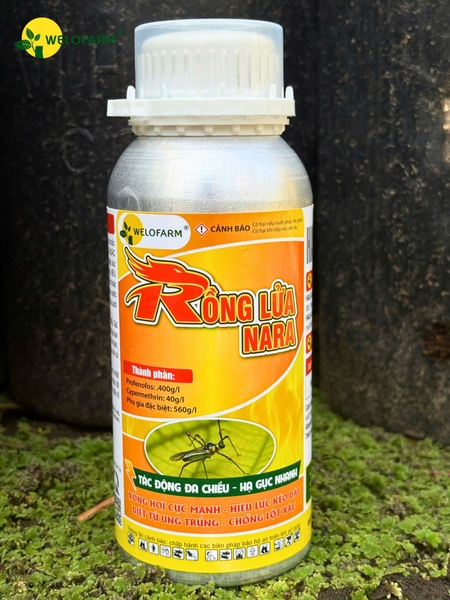 Rồng Lửa NaRa