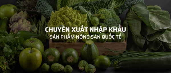 Công ty TNHH Xuất nhập khẩu VẠN ĐẠI PHÁT VN