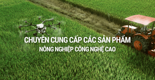 Công ty TNHH Xuất nhập khẩu VẠN ĐẠI PHÁT VN